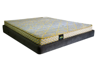 Dual mattress