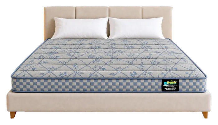 Dual mattress
