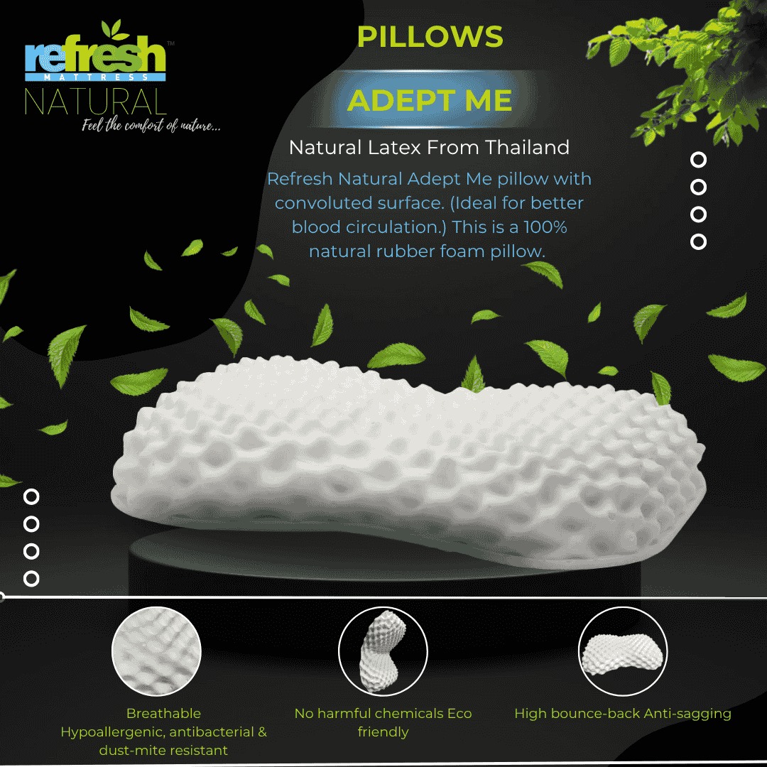 Adept Me Pillow